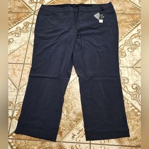 Lane Bryant The Sophie pants